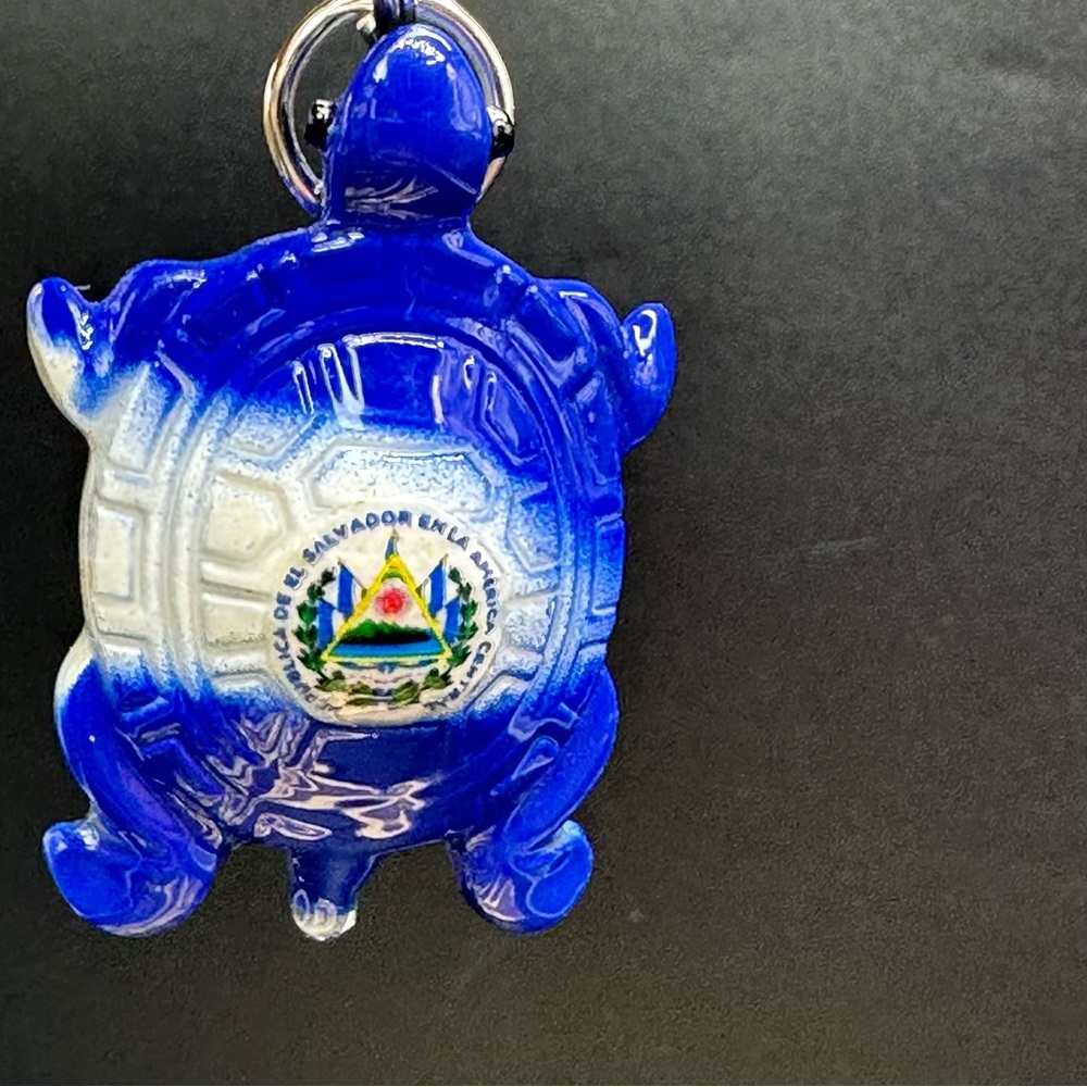 Colorful Turtle Keychains - Picture 9 of 16